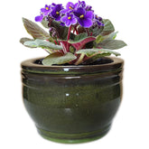 Dphagesy front view showing olive drab ceramic pot and clean aesthetic benefit
