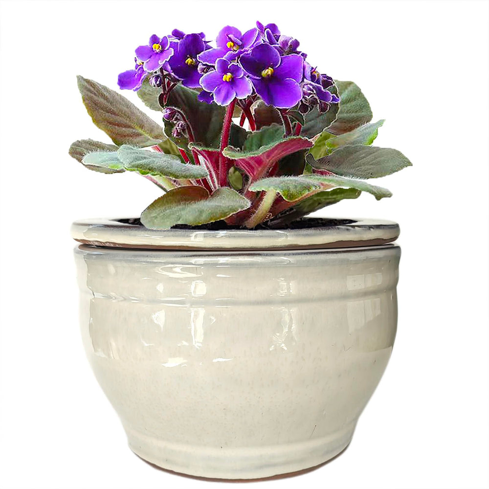 Dphagesy white outer pot front view shows elegant finish and stable base