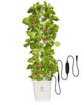 DPROOTS vertical tower front view showing full 45‑pod system and compact footprint