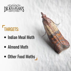 Dr. Killigan's pheromone strip detail highlighting potent lure for targeted moth attraction