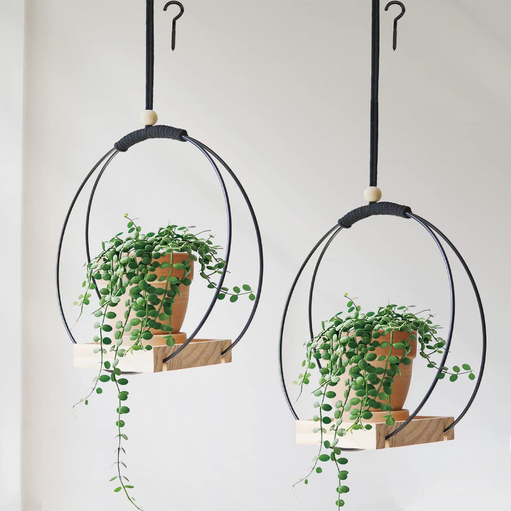 Dravmola front view of two black macrame plant hangers showing modern decor appeal