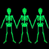 Droutti front view of three hanging skeletons showing full pack and size benefit