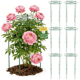 DSTANA front view of six peony cages showing packaging and included legs, durable support