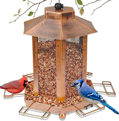 DTEPFUEN lantern-shaped feeder front view showing decorative finish and easy hanging
