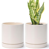 D'vine Dev front view of two oatmeal ceramic pots showing clean modern design and pairing benefit