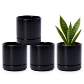 D'vine Dev front view of 4-pack black pots showing sleek design and uniform look