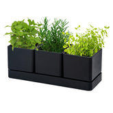 D'vine Dev front view of three-pot planter set showing neat modern design and tidy organization