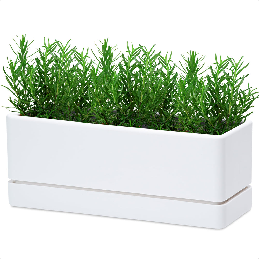 D'vine Dev front view of white rectangular planter showing clean modern lines and benefit of compact footprint