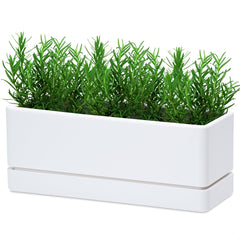 D'vine Dev front view of white rectangular planter showing clean modern lines and benefit of compact footprint