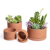 D'vine Dev front view of four terracotta pots showing sizes and clean design, useful for display