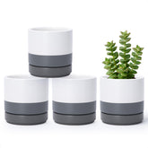D'vine Dev front view of four white and grey ceramic pots showing modern look and cohesion