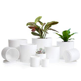 D'vine Dev front view of 10 white pots showing clean minimalist benefit