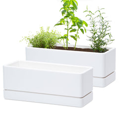 D'vine Dev front view of white rectangular planter showing clean design and versatility