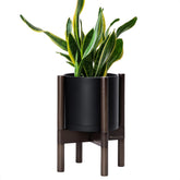 D'vine Dev front view of black pot and walnut stand showing modern balance
