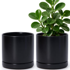 D'vine Dev front view of two black ceramic pots showing modern silhouette and balance
