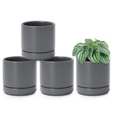 D'vine Dev front view of four grey ceramic pots shows modern cohesion and display appeal