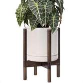 D'vine Dev front view oatmeal planter showing clean modern design and elevated presentation