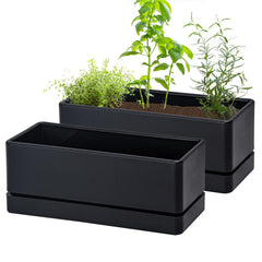 D'vine Dev front view of two planters showing compact window box design and versatility