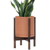 D'vine Dev front view of pot with walnut stand showcasing elegant display