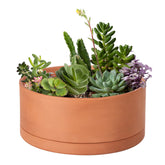 D'vine Dev front view of 10-inch terracotta planter showing minimalist shape and finish