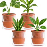 D'vine Dev front view of four terracotta pots showing neat table benefit