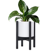 D'vine Dev front view white pot with ebony stand showcasing clean modern design