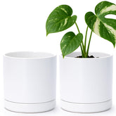 D'vine Dev front view of two white ceramic pots showing clean modern look