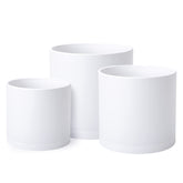 D'vine Dev front view of three white pots showing clean modern design and ease of styling