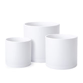 D'vine Dev vista frontal del pack blanco, apariencia limpia y minimalista