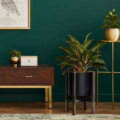 D'vine Dev pot with live plant in use offering easy indoor display solution