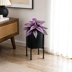 D'vine Dev side profile highlighting total 13.4-inch height with sturdy metal stand benefit