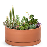 D'vine Dev front view of 12-inch terracotta planter showing clean round profile benefit display-ready