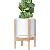 D'vine Dev front view white ceramic pot highlighting sleek modern look and clean finish