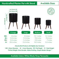 D'vine Dev wooden stand detail showing walnut finish and sturdy three-leg support