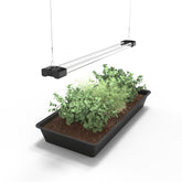 DYMOND Boostgro front view showing slim full-spectrum fixture and bright coverage