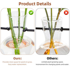 E-ROOM TREND propagation vases with cuttings showing visible roots and easy monitoring