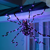 EAMBRITE giant spider front view illuminated for dramatic curb appeal
