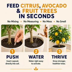 Hand inserting an EarthPods capsule into potting soil near trunk, fast no-mess feeding benefit