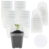 EBaokuup front view of clear pot set showing lids and bases, ideal for organized germination