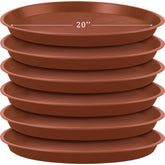 Eccliy front view of six saucers showing size and storage benefit