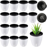 Eccliy front view showing 14 white violet self-watering pots for neat displays