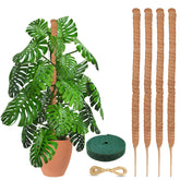 EcoNour moss pole front packaging showing four poles and benefits