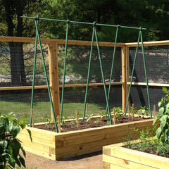 EcoStake used as tree support showing stability and plant protection