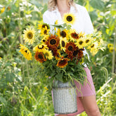 Eden Brothers front packaging showing Sunny Flower Mixed Seeds, clear benefit: pollinator-friendly mix