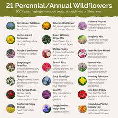 Eden Brothers primer plano de Sweet William en flor, muestra color y atractivo