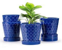 EFISPSS front view of blue ceramic planter set showing modern design and benefit
