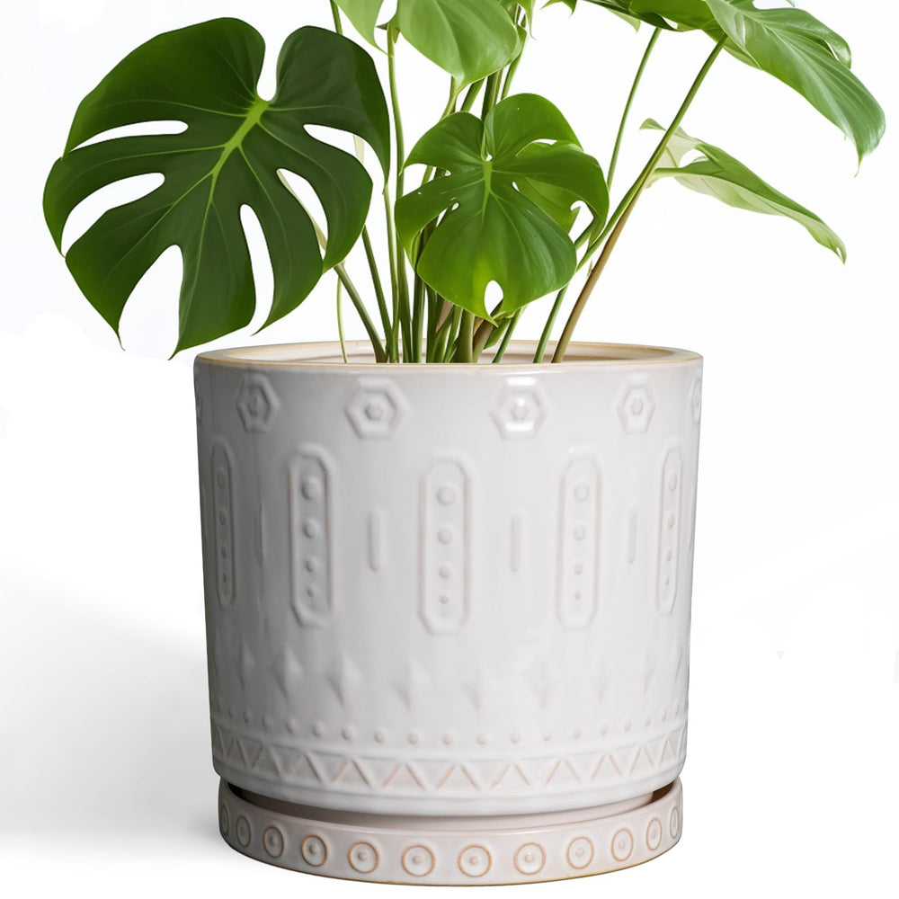Eightpot front view of 10-inch ceramic planter showing elegant white finish and decor benefit