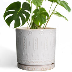 Eightpot front view of 10-inch ceramic planter showing elegant white finish and decor benefit