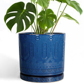 Eightpot front view blue planter showing elegant shape and decor benefit