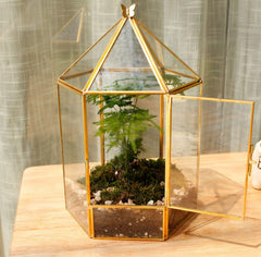 ELEGANTLIFE open top with hand removing lid for easy planting benefit